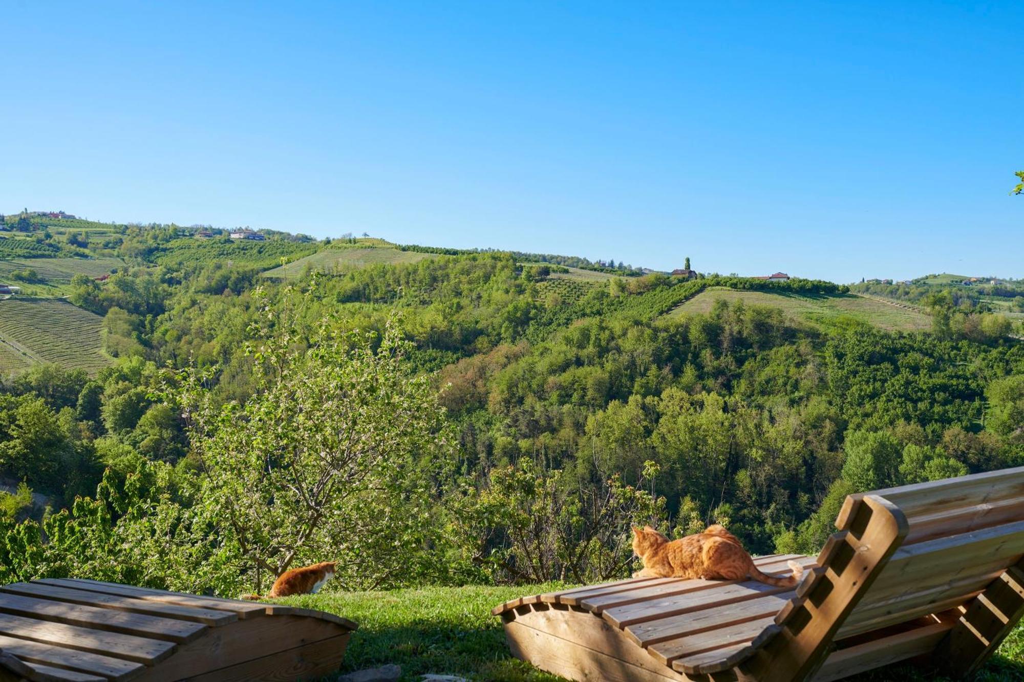 Cascina Sant'Eufemia Villa Sinio Bagian luar foto