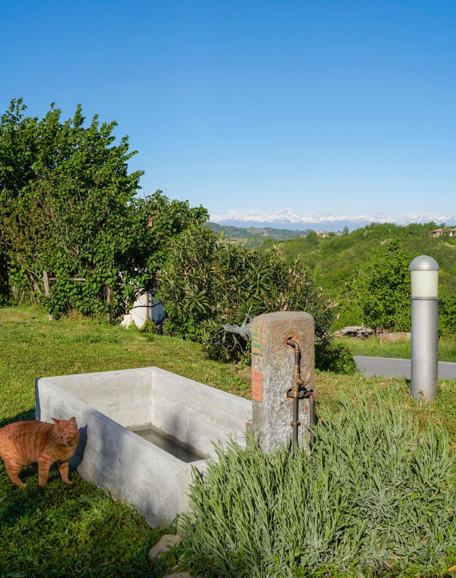 Cascina Sant'Eufemia Villa Sinio Bagian luar foto