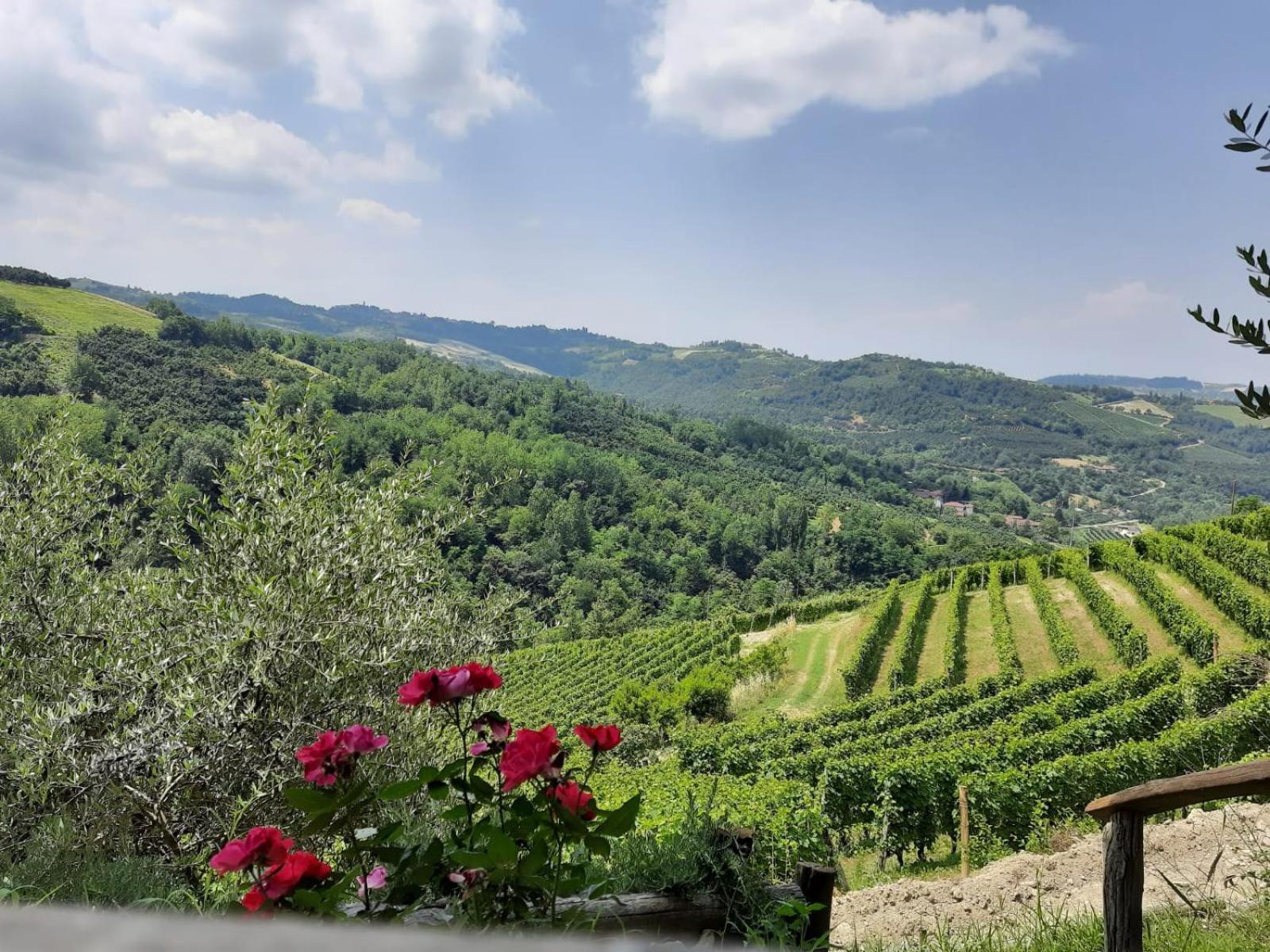Cascina Sant'Eufemia Villa Sinio Bagian luar foto