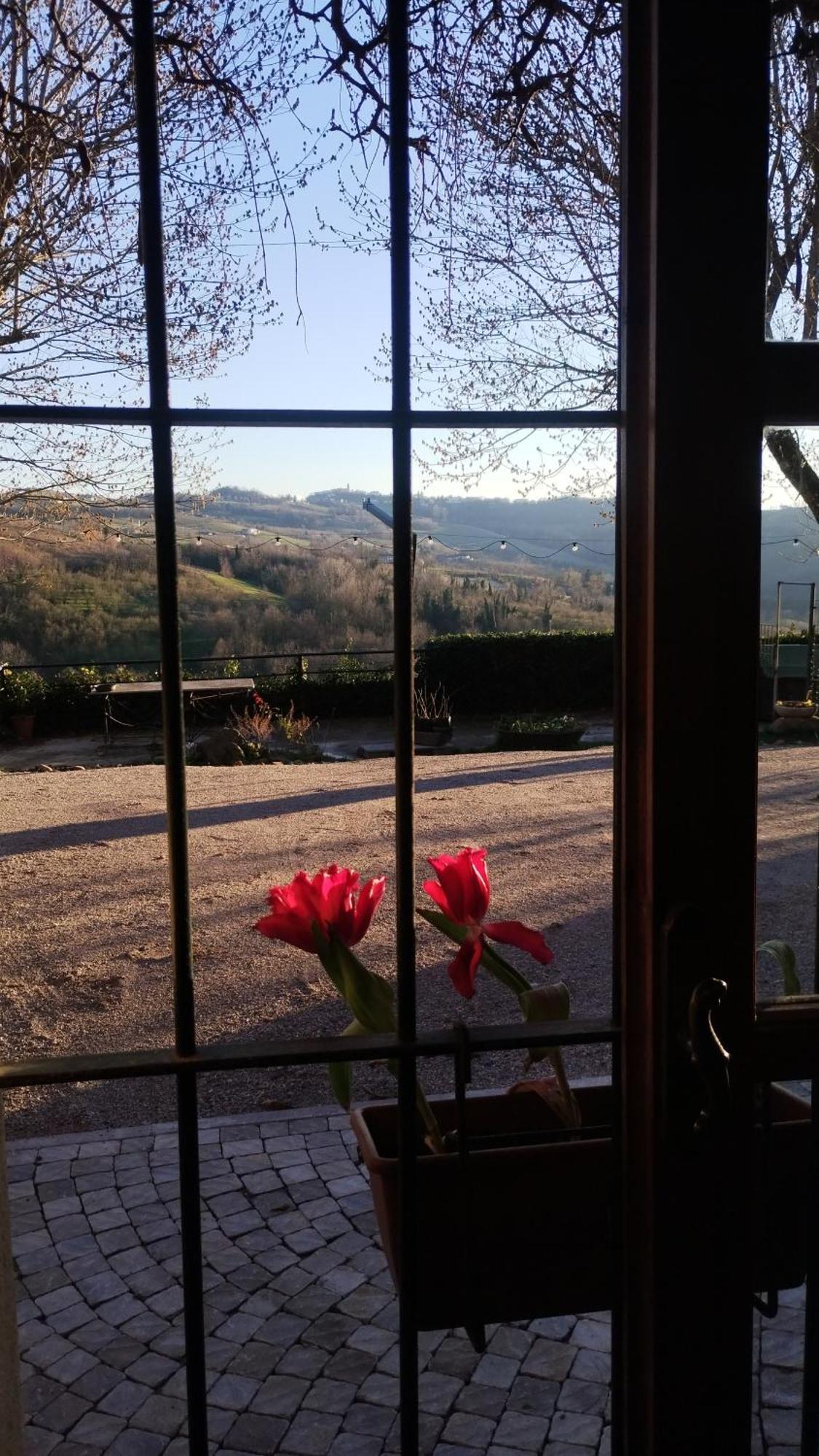 Cascina Sant'Eufemia Villa Sinio Bagian luar foto